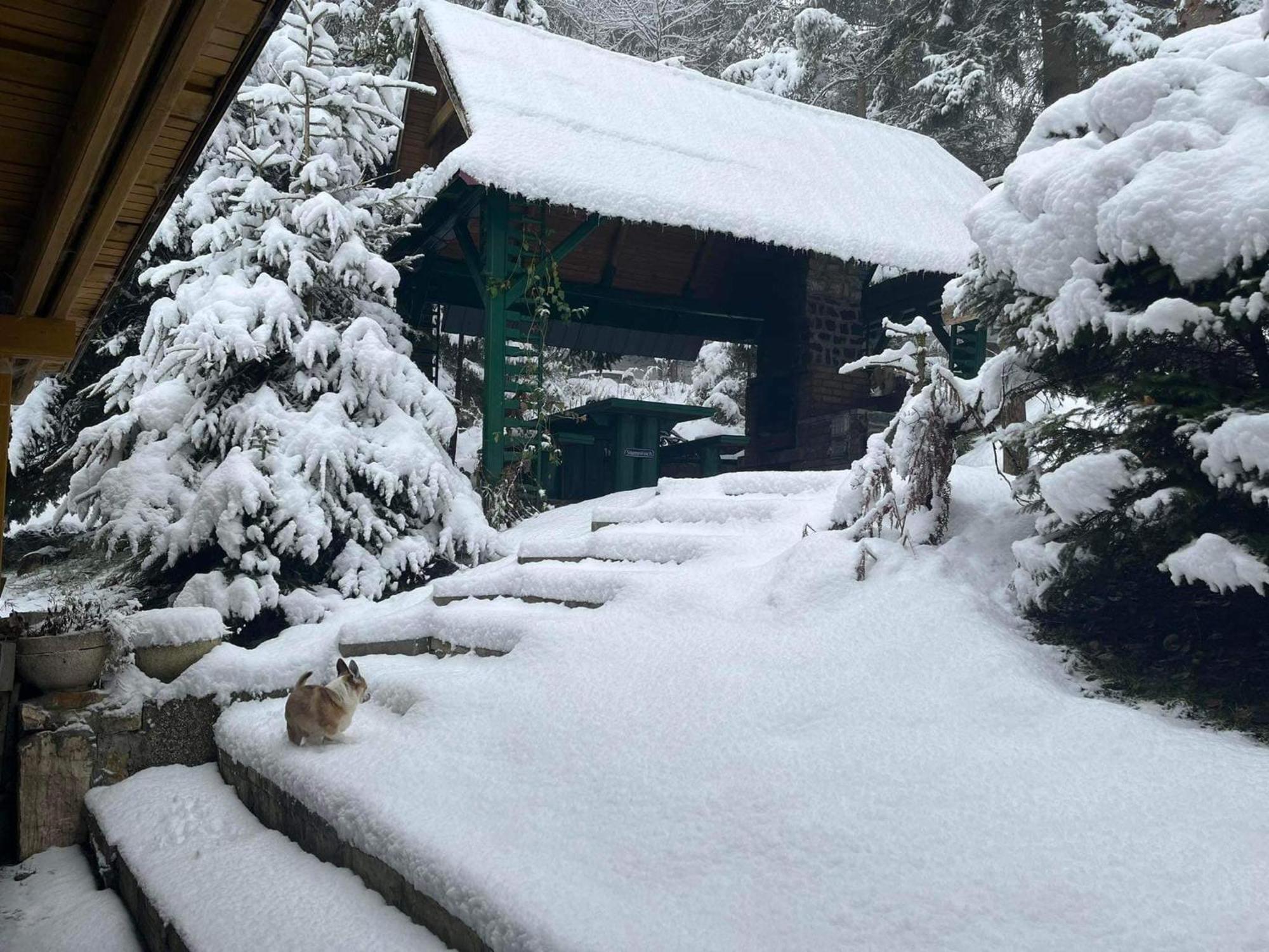 Kokava nad RimavicouResidenz Pal别墅 外观 照片