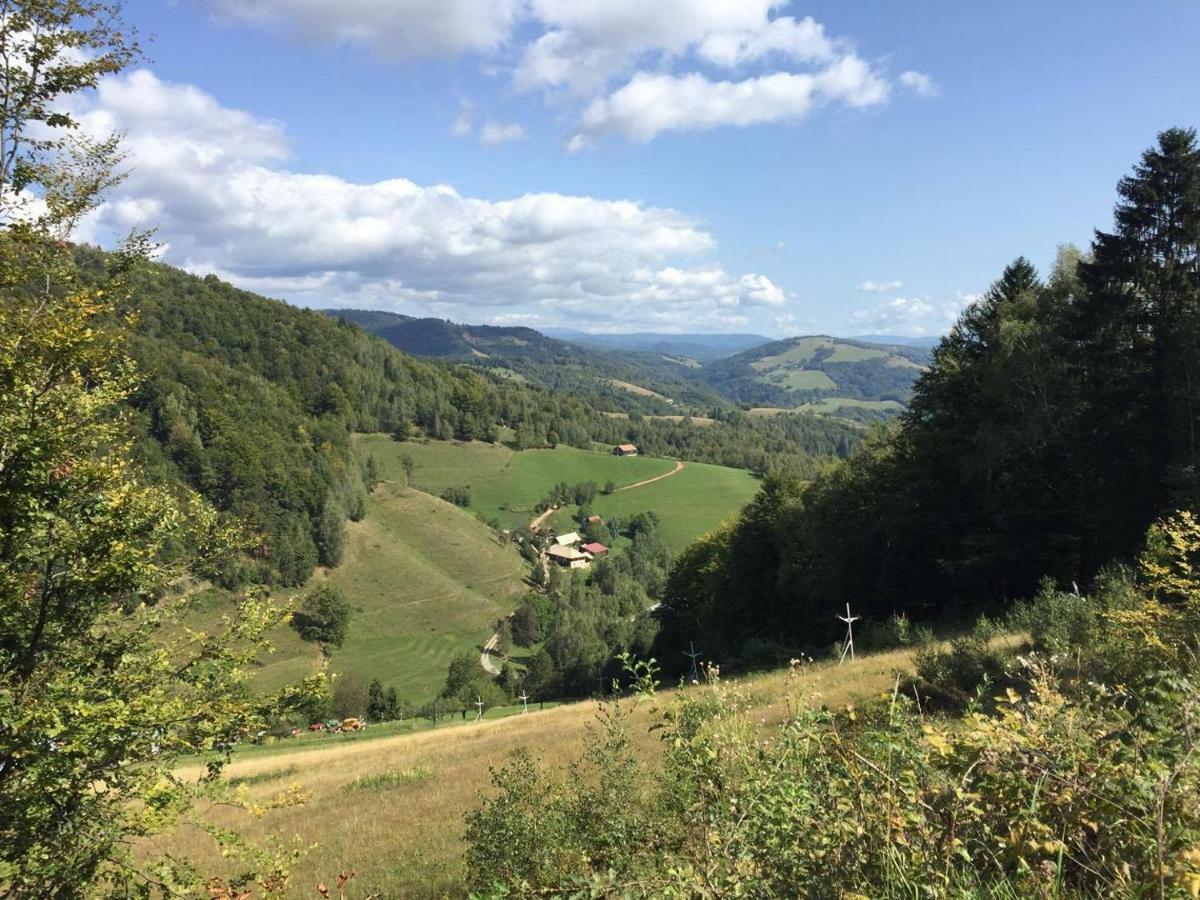 Kokava nad RimavicouResidenz Pal别墅 外观 照片